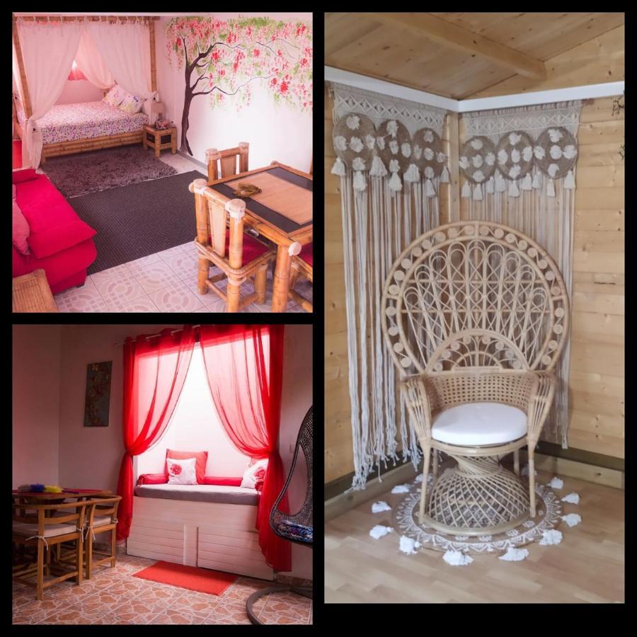 Appartement Ambalabaa à Saint-Philippe Extérieur photo